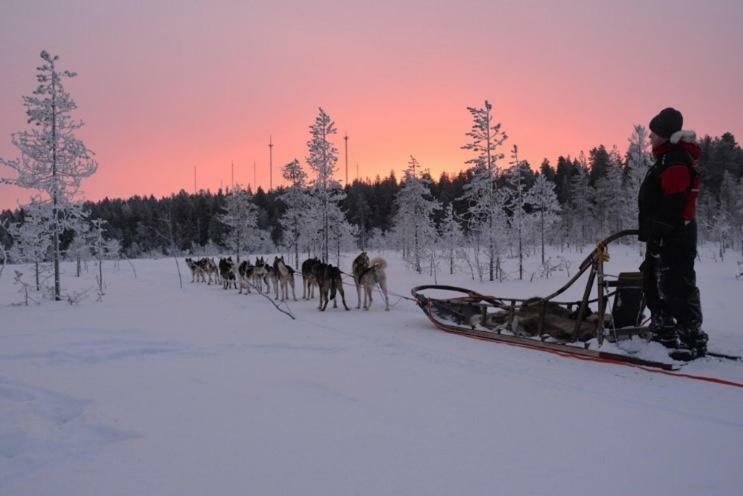 Apartment Suutarintie - Authentic Lappish Experience By The River Rovaniemi Dış mekan fotoğraf